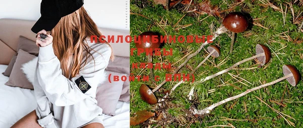 spice Снежногорск