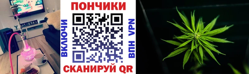 Купить где Воронеж Канабис индика